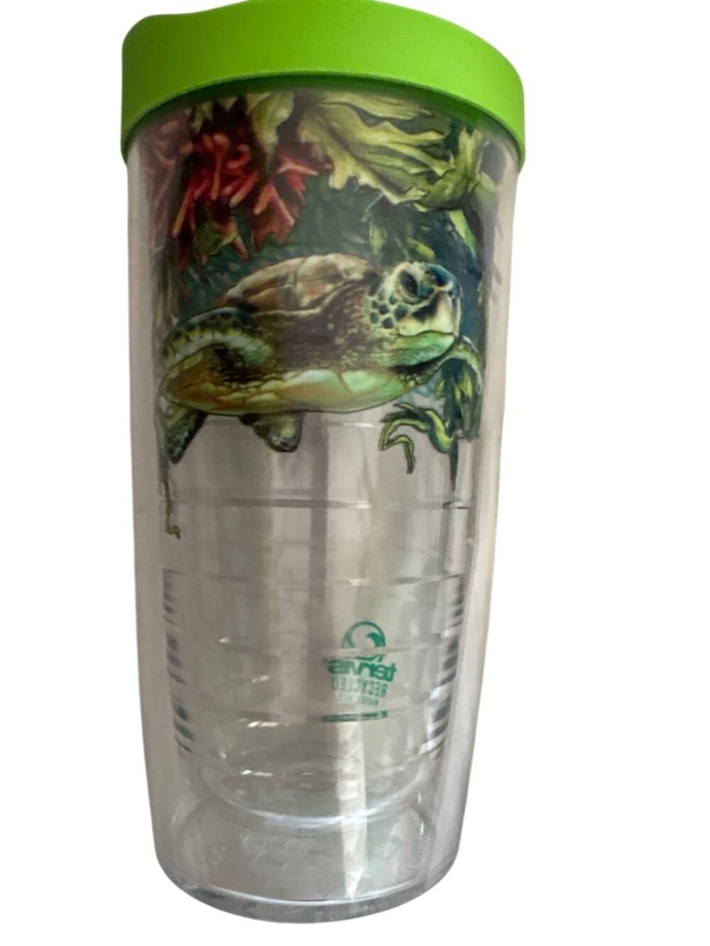 Tervis Sea Turtle 16oz Insulated Tumbler With Green Lid